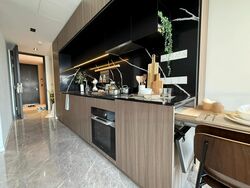 Irwell Hill Residences (D9), Apartment #467232041